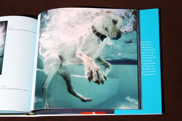 Underwater Dogs King
