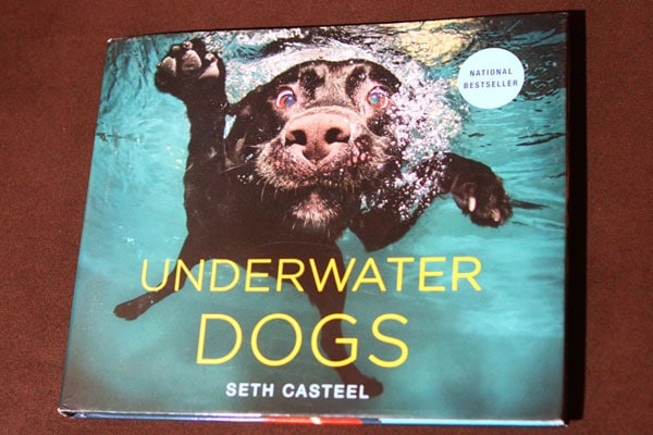 Underwater Dogs1