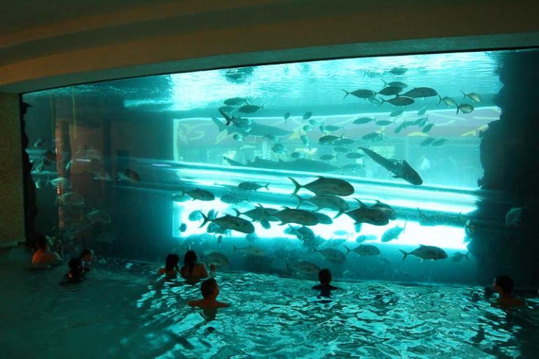 Golden Nugget aquarium