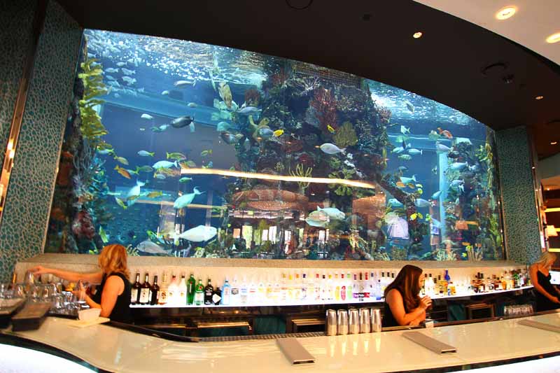 Chart house aquarium at golden nugget las vegas