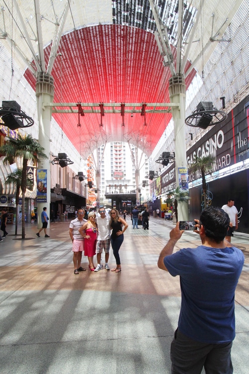 Section of Viva Vision Canopy updated