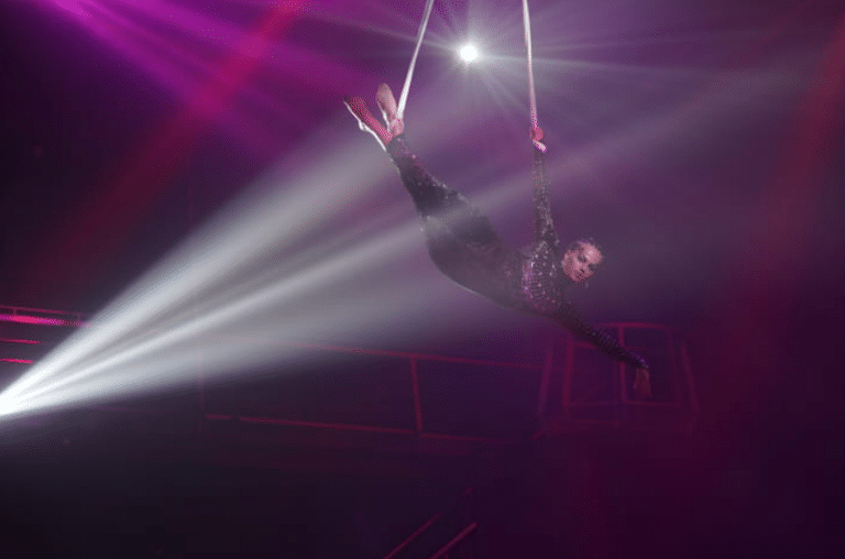 A person performing acrobatic elements on aerial straps against dark purple background and white lights.